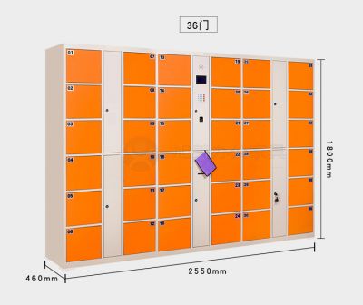 XW-电子存包柜-指纹型36门